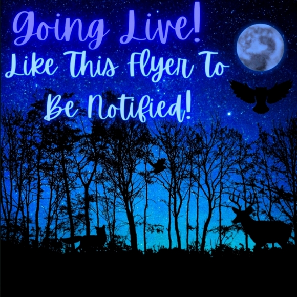 Other - 🦉🌙✨️🪐⚡️LIVE ALART⚡️🪐✨️🌙🦉